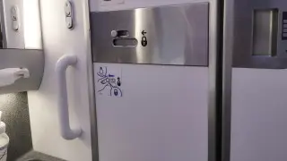 Гражданина Грузии наказали в Алматы за поступок в туалете самолета