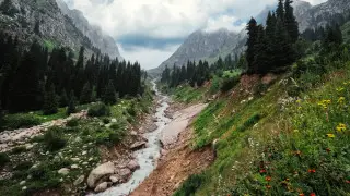 Случайно забрели на территорию нацпарка? Как не нарваться на штраф