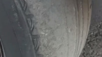Кадр из видео kerek.pv