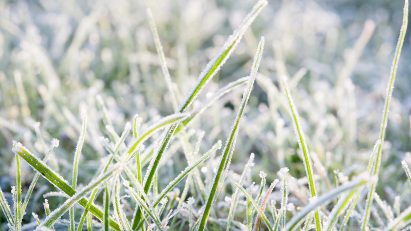 Фото:depositphotos.com