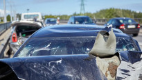 Фото:depositphotos.com