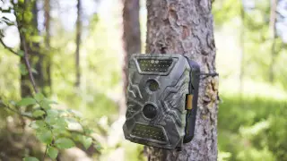 Редкие могильники попали на камеру в Павлодарской области