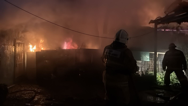 Фото: пресс-служба ДЧС Алматы