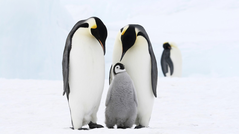 Фото: depositphotos.com