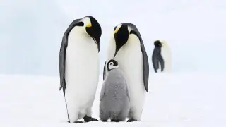 Фото: depositphotos.com