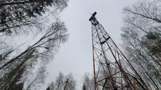 Иллюстративное фото