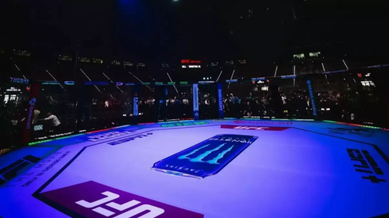 Фото: UFC