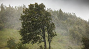 Фото:depositphotos.com