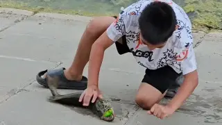 Кадр из видео