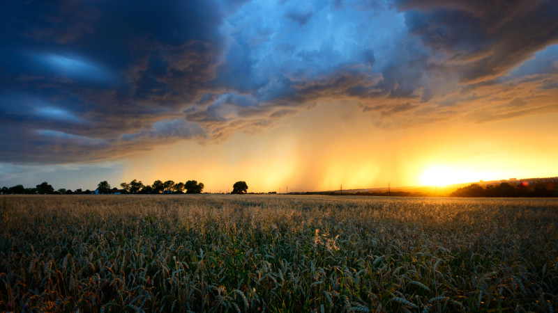 Фото:depositphotos.com