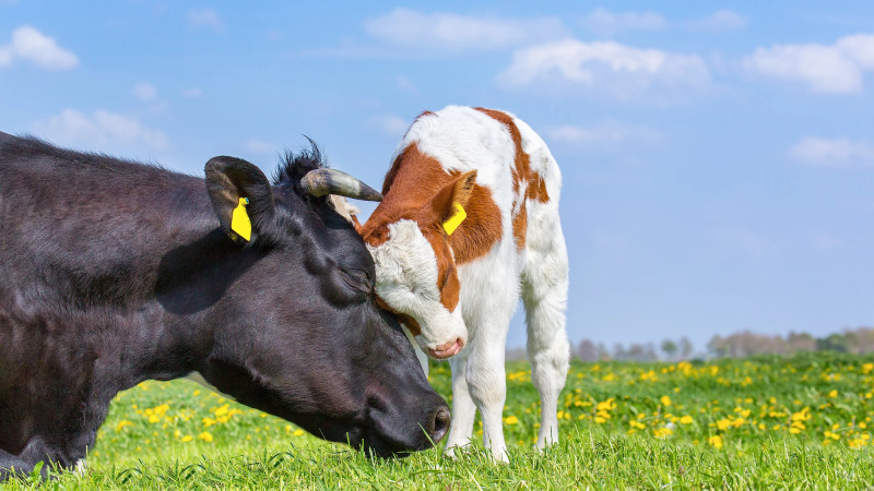 Фото:depositphotos.com