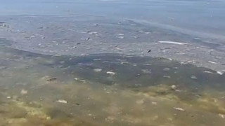 Кадр из видео
