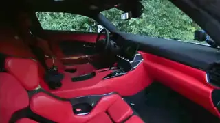 Фото: трансляция фестиваля скорости в Гудвуде