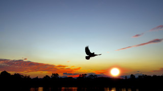 Фото:depositphotos.com
