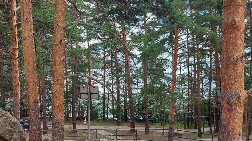 Архив читательницы
