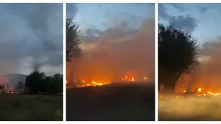 Кадры из видео: Tengrinews.kz