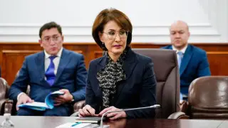 Как будем решать? Премьер спросил Альназарову о кадровом дефиците