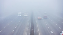 Фото:depositphotos.com