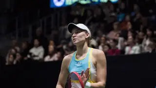 Елена Рыбакина пожаловалась на иностранных фанатов после сенсации