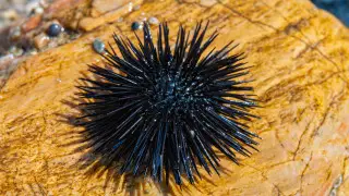 “Чуть не осталась без ноги!“: казахстанка предупредила туристов об опасности