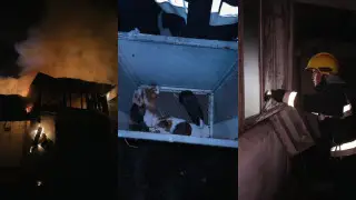 Кадры из видео