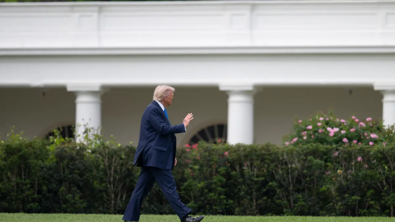 The White House