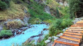 “Алма-Арасан в пробке“: казахстанцы жалуются на мусор и антисанитарию