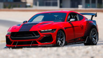 Фото: shelby.com