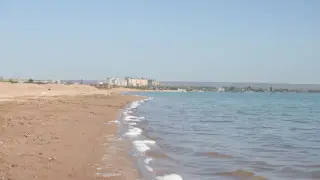 Предприниматели в Конаеве недовольны действиями акимата