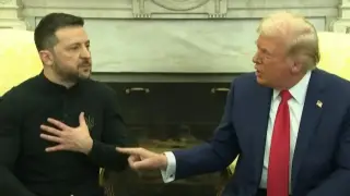 Трамп примет Зеленского без европейских лидеров