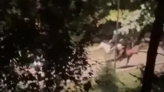 Кадр из видео