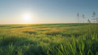 Иллюстративное изображение: сгенерировано с помощью Canva