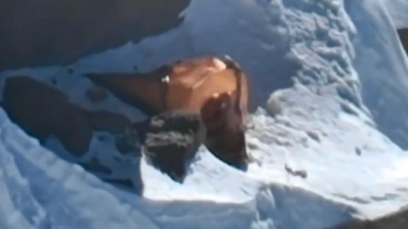 кадр из соцсетей Михаила/ВК