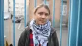 Грету Тунберг могут отправить в тюрьму для террористов в Израиле