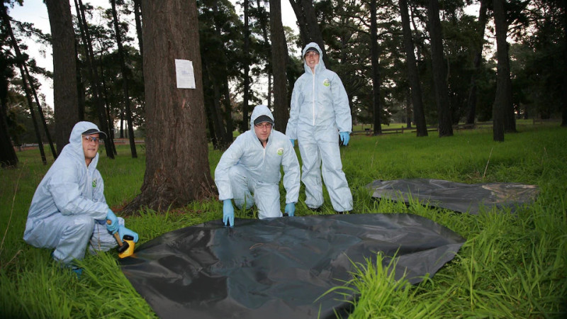 CSIRO