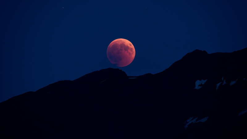 Фото: pixabay.com/grey48