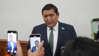 Лично я выполняю работу на 20 миллионов - депутат Базарбек