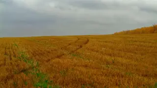 Жару сменят дожди и грозы: прогноз погоды по городам Казахстана