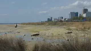 Петиция Save the Caspian Sea собрала более 50 тысяч подписей