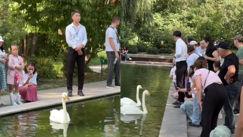 Кадры из видео