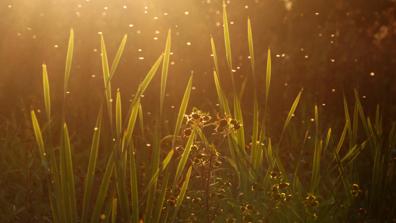 Фото:depositphotos.com