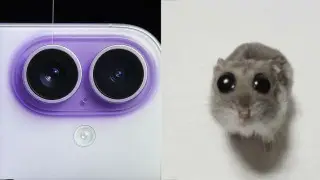 Оранжевый кирпич и веревочка за 30 тысяч: в соцсетях вирусятся шутки о новом iPhone