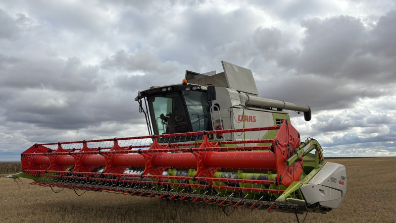 Фото: УВП Акмолинской области.