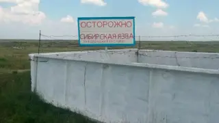 Названа вероятная причина вспышки сибирской язвы в Акмолинской области