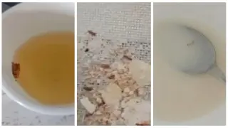 “Тараканы, личинки, мошки“. Родителей шокировала еда в детском саду Талдыкоргана