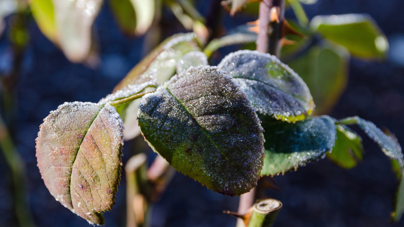 Фото:depositphotos.com