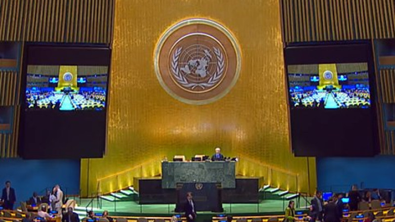 Скриншот видео / un.org / UN Web TV