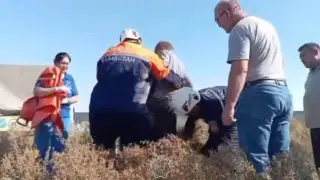 Подросток на лошади провалился в 5-метровую яму в Шымкенте