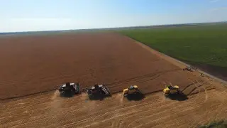 Элитный урожай ожидают в Астраханском районе