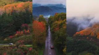 Золотая осень в ВКО с высоты птичьего полёта - видео, которое завораживает